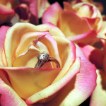 https://www.publicdomainpictures.net/view-image.php?image=31759&picture=engagement-ring-in-roses