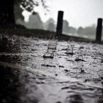 https://www.publicdomainpictures.net/view-image.php?image=23187&picture=rain