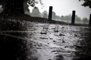 https://www.publicdomainpictures.net/view-image.php?image=23187&picture=rain