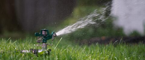 A sprinkler spraying water onto green grass
