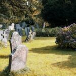 Headstones and purple flowers in a graveyard