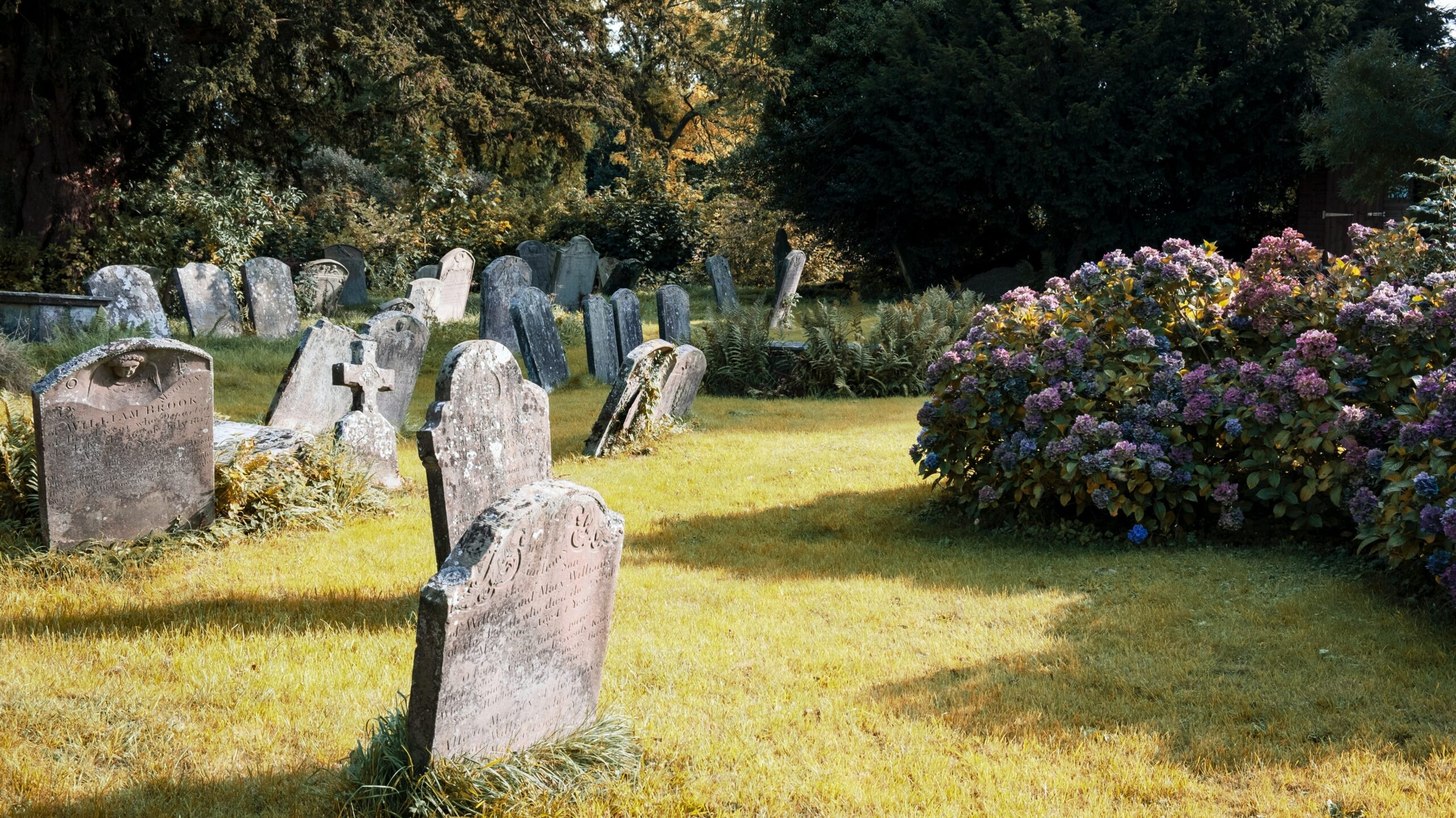 Headstones and purple flowers in a graveyard
