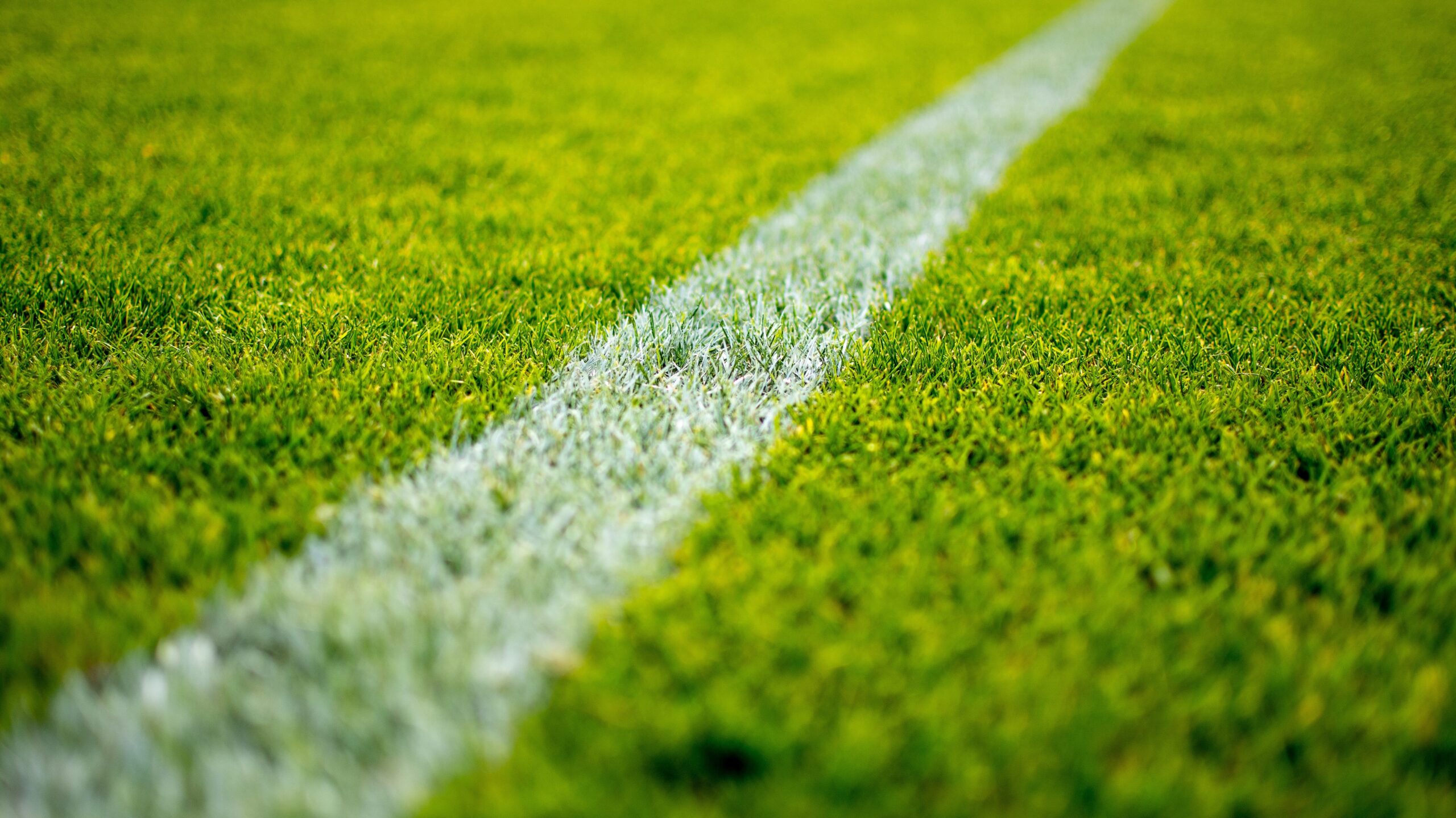 Close-up shot of a line on a sports field