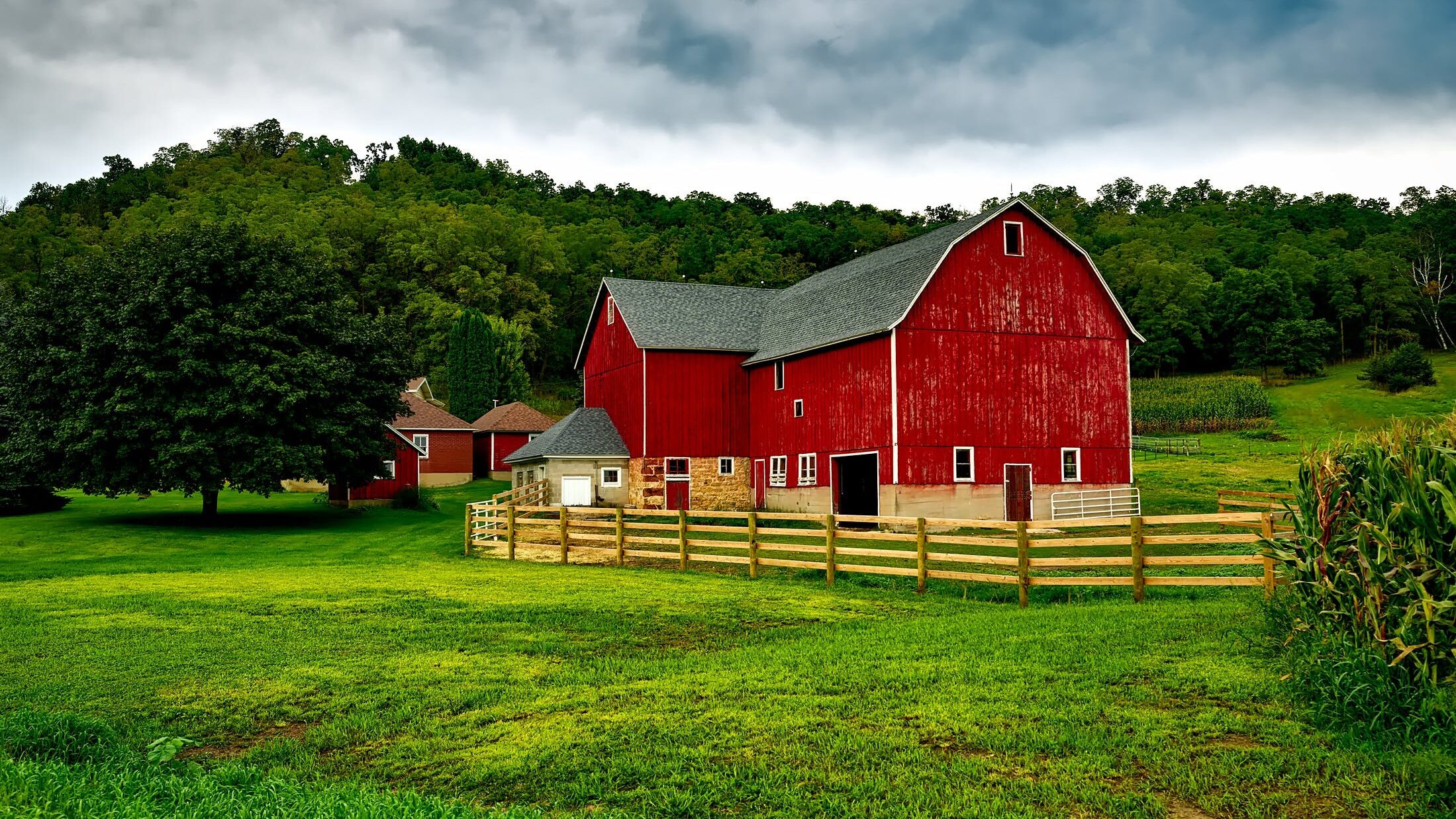 Fenced-in red barn in a field