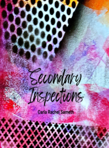 Cover of "Secondary Inspections"
