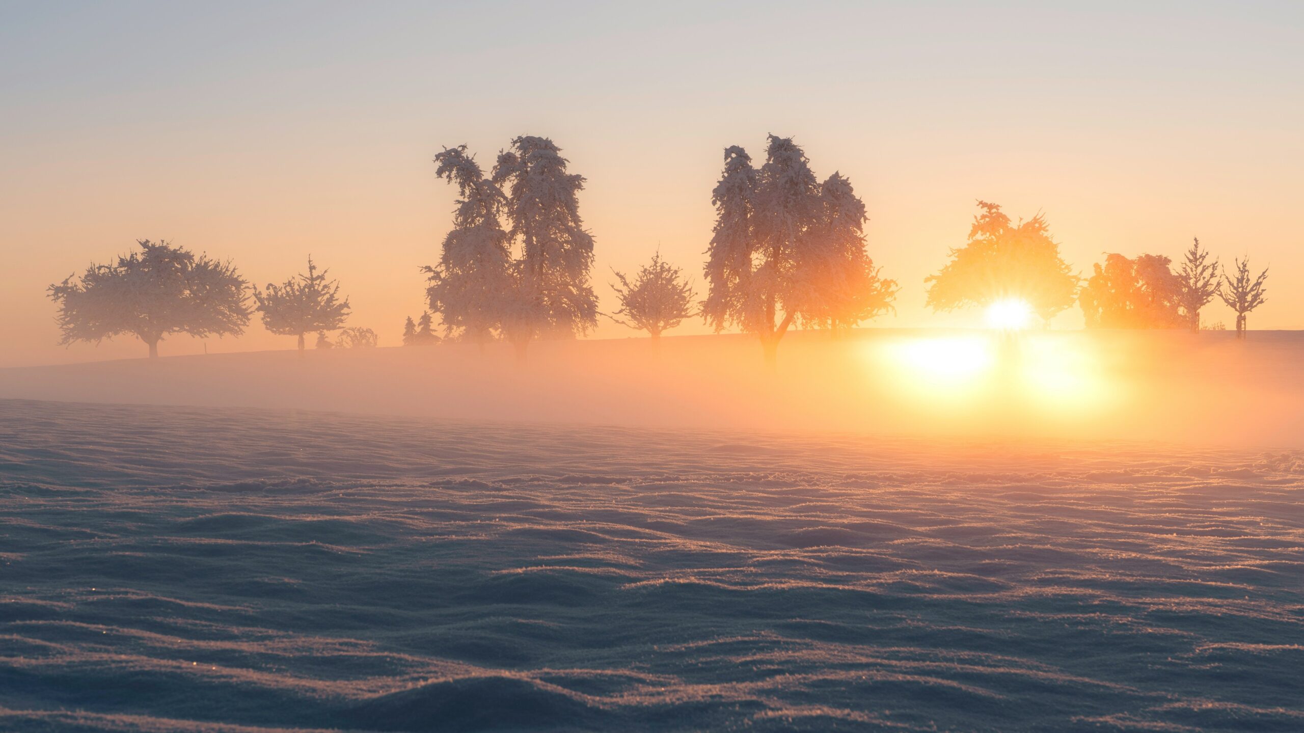 Snowy field at sunrise