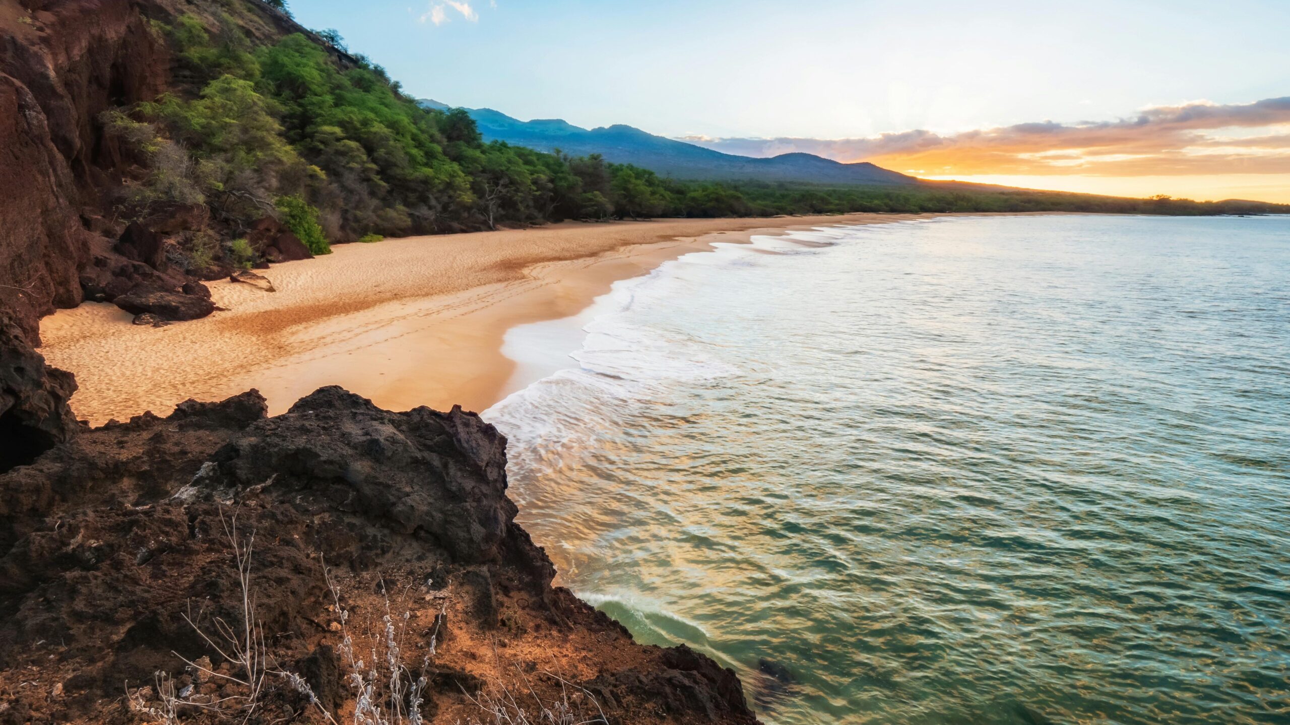 Beach in Hawaii