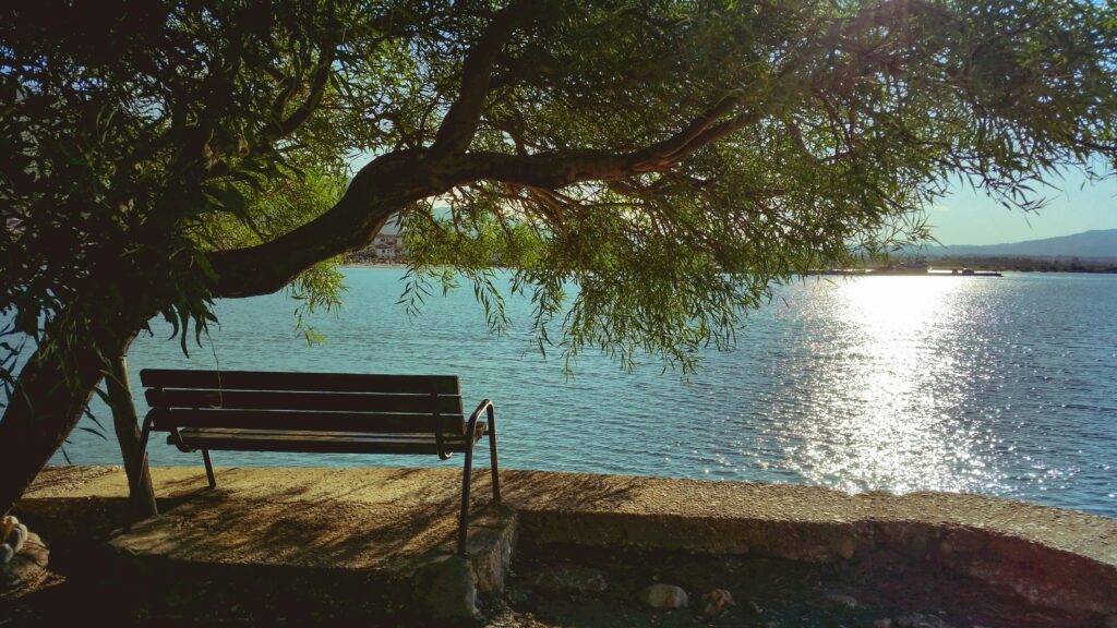 Empty bench along river