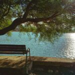 An empty bench near a river