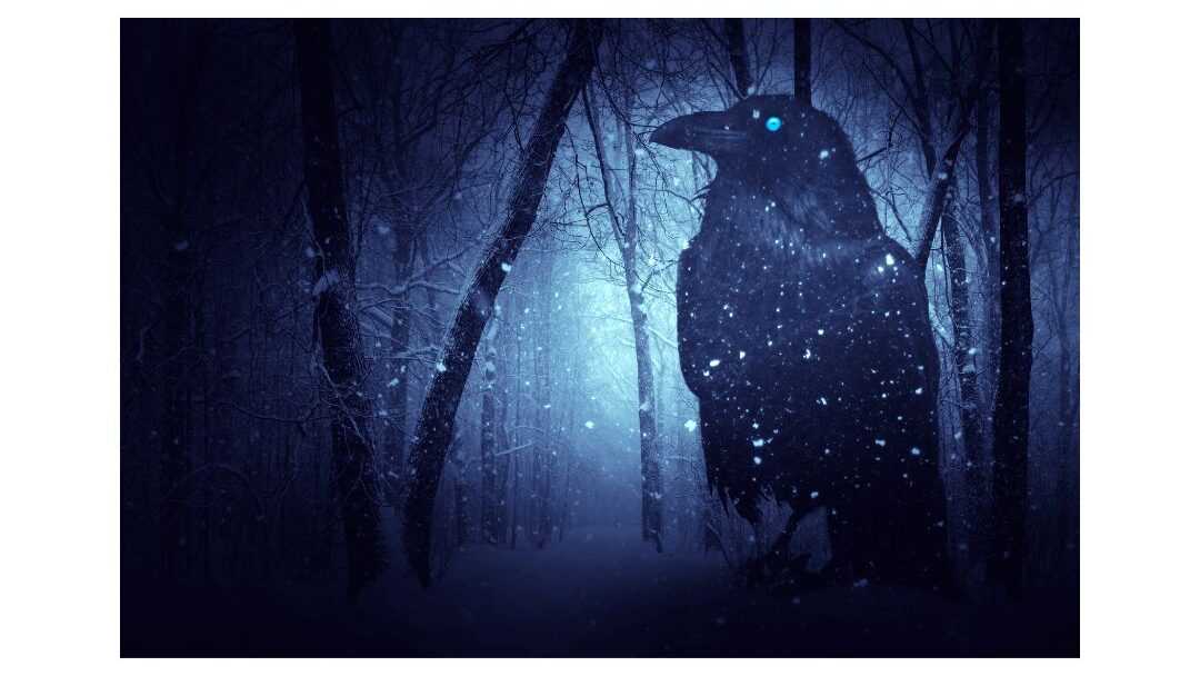 A raven in a snowy landscape at night.