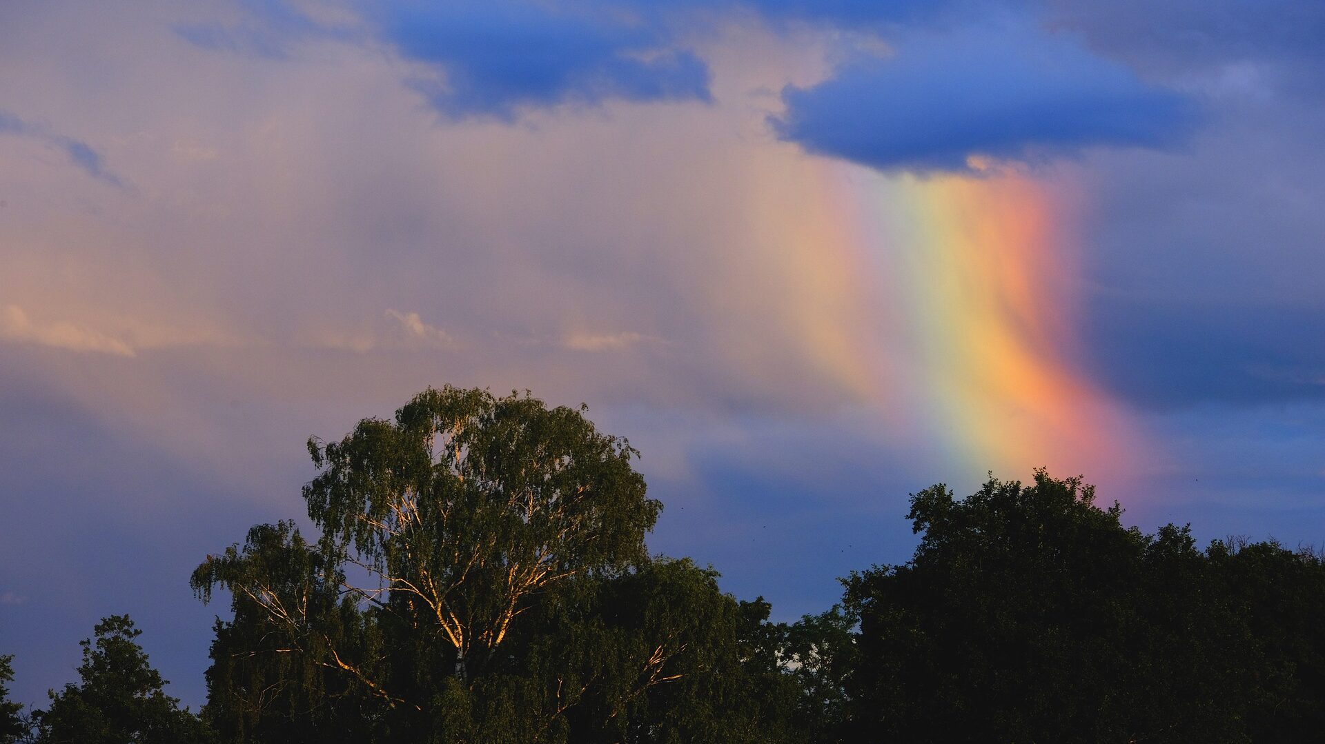 A rainbow captured in a wind-swept cloudy sky above trees illuminated by a ray of light. 