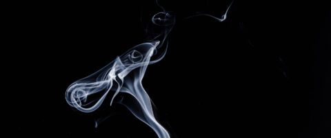 Image by Hanjörg Scherzer from Pixabay