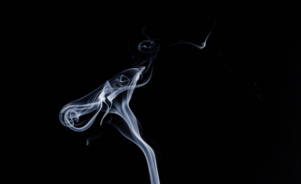 Image by Hanjörg Scherzer from Pixabay