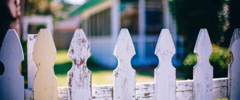 Image by PublicDomainArchive from Pixabay