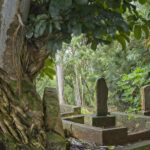 Image by Margaret Van de Pitte from Pixabay