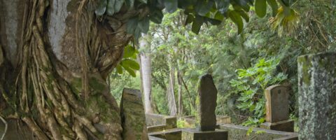 Image by Margaret Van de Pitte from Pixabay