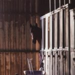 Image by Kev from Pixabay