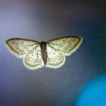 Photo by Max Kleinen on Unsplash