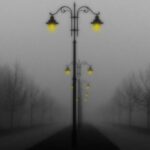 Image by Sabine from Pixabay