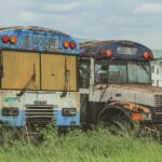 photo by Kriss L on Pixels.