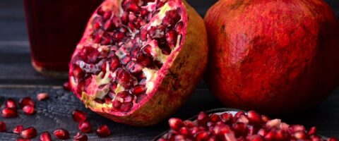 Photo courtesy of Pixabay