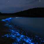 mage by Alvaro Bejarano from Pixabay