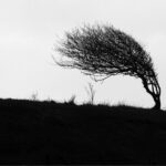 Image by Ron Porter from Pixabay