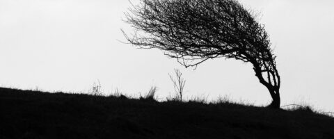 Image by Ron Porter from Pixabay