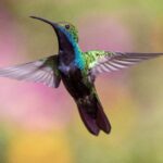 Image by Pexels from Pixabay