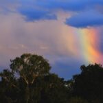 Rainbow over a treeline Image by Hans from Pixabay