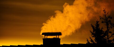 Image by minka2507 from Pixabay