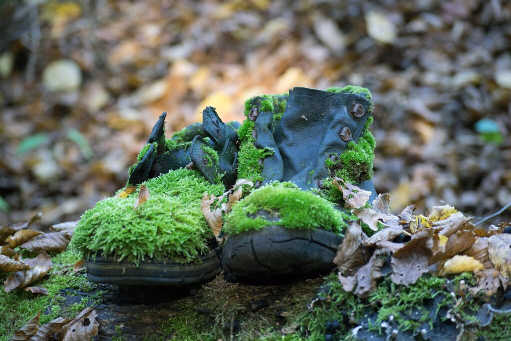 A pair of old black sneakers, the laces gone, placed atop a lichen-covered stone in the woods, surrounded by dead leaves and covered with moss.