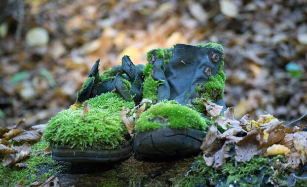 A pair of mossy, old shoes Image by Thomas_Au on Pixabay