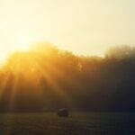 Sun setting over hay bales Image by Joe from Pixabay