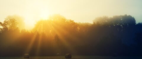 Sun setting over hay bales Image by Joe from Pixabay