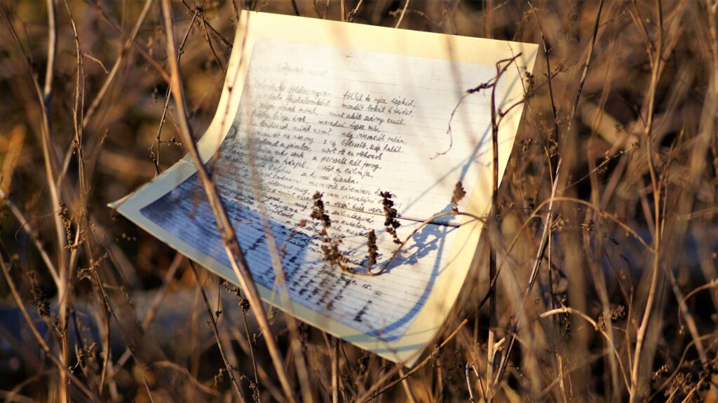 Image by Friderikusz Ilona from Pixabay