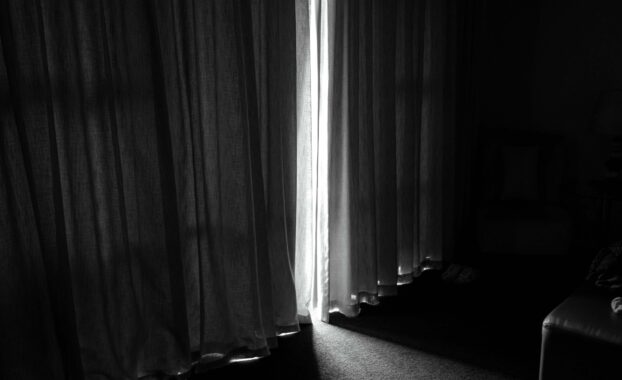 Photo by James Hoey on Unsplash