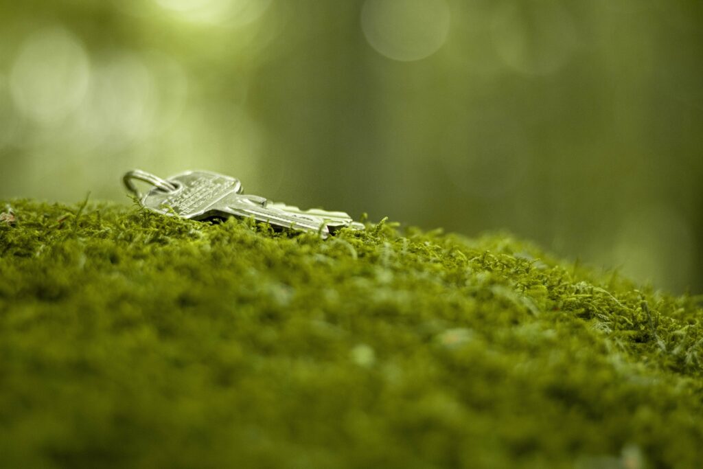 keys on moss
