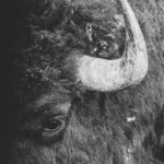 Photo by Kevin Bidwell on Pexels
