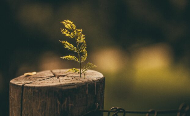 Photo by Lucas Pezeta: