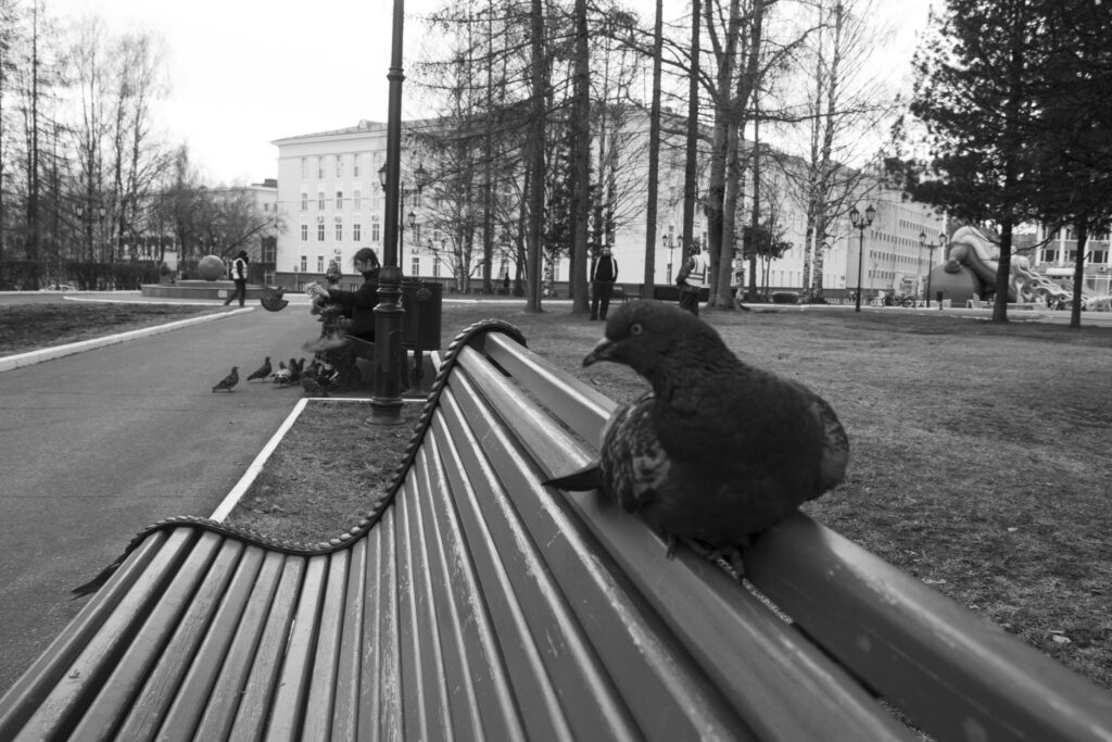 Photo by Вениамин Курочкин: