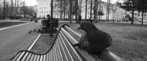 Photo by Вениамин Курочкин:
