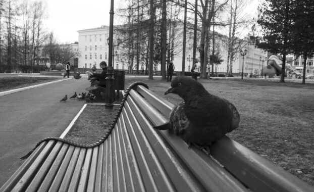 Photo by Вениамин Курочкин: