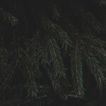 Photo by Fredrik Solli Wandem on Unsplash