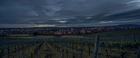 Image by Justus from Pixabay