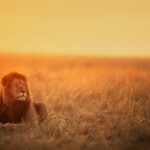 Photo by Keyur Nandaniya on Unsplash
