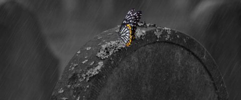 Image by Claudia Peters from Pixabay