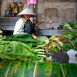 Photo by Quang Nguyen Vinh