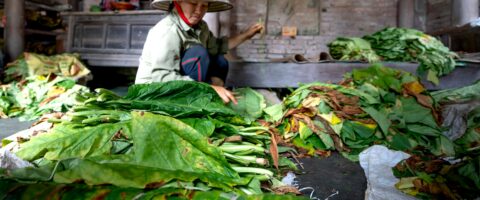 Photo by Quang Nguyen Vinh
