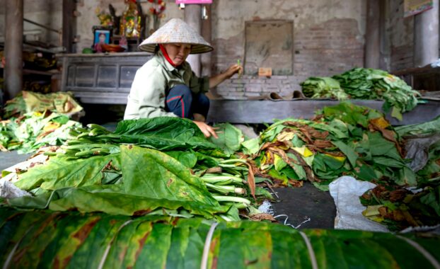 Photo by Quang Nguyen Vinh